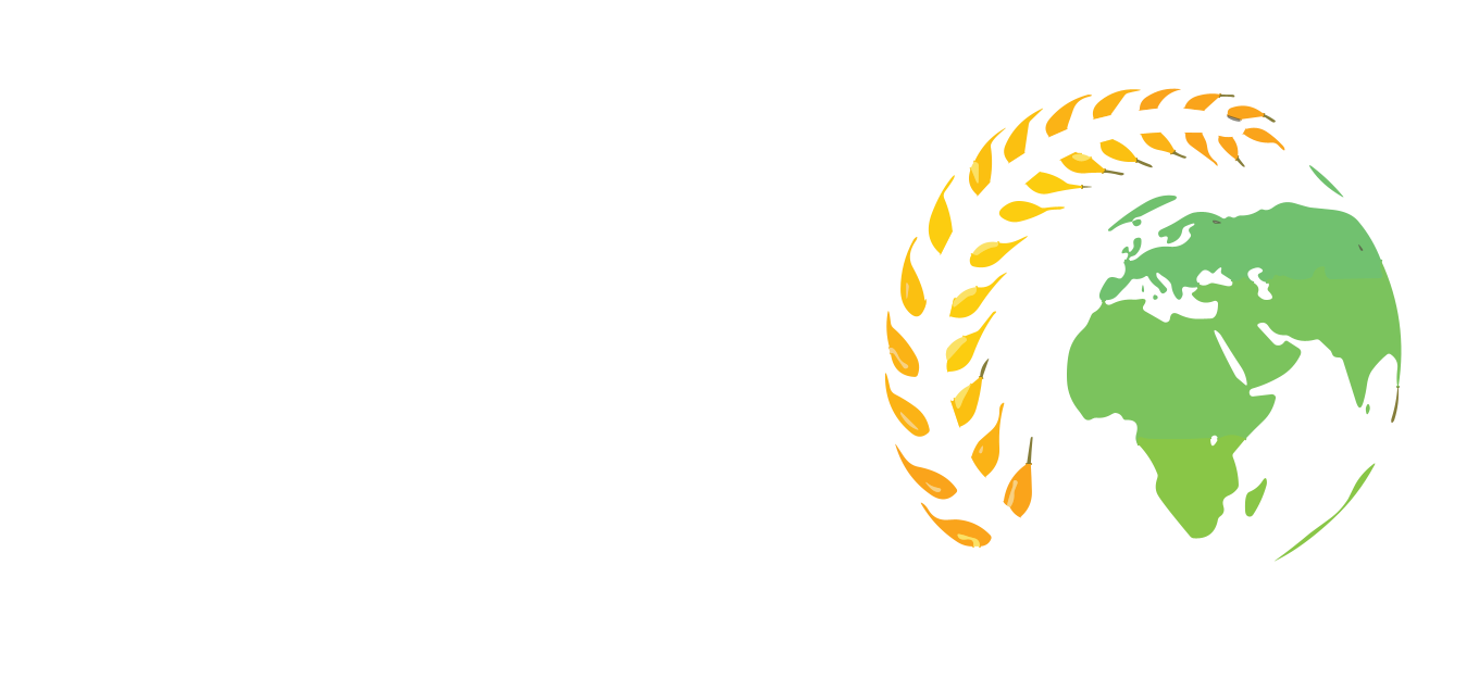 Tehran Sonboleh Holding